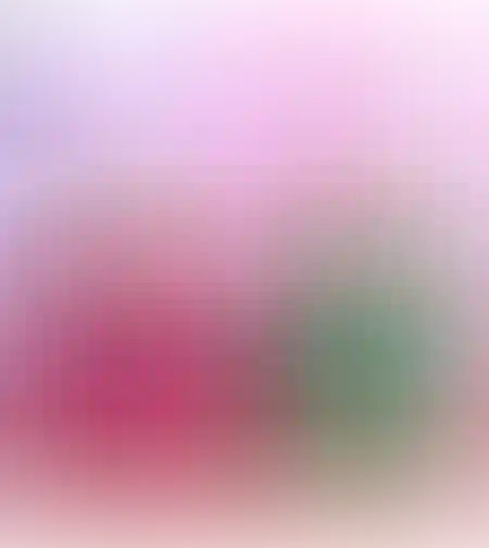 מיני מכונת ממתקים חזיר