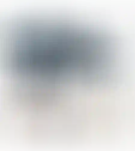 צעצוע מנהרות לחיות מחמד