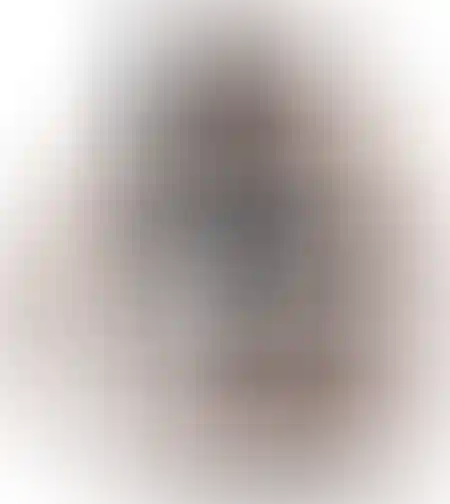 חגורת גב מתכווננת להקלה על עמוד שדרה