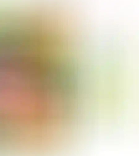 סט כלים לחיתוך פירות ירקות ועוד