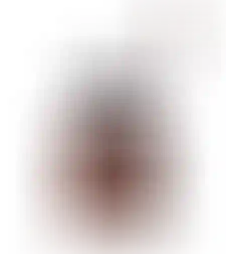 טחנת פולי קפה ידנית
