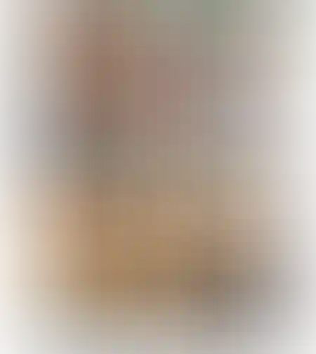 ווסט רתמת כלבים