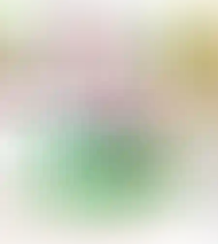 קערת לחיתוך פירות וירקות
