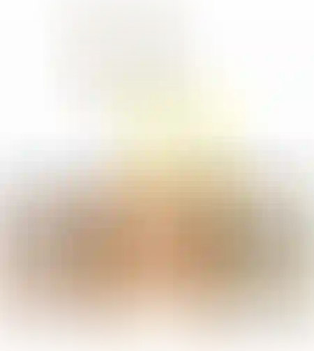 בקבוק תרסיס לתיבול (יין שמן רוטב חומץ)