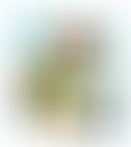 סלט חציל במיונז 270 מ