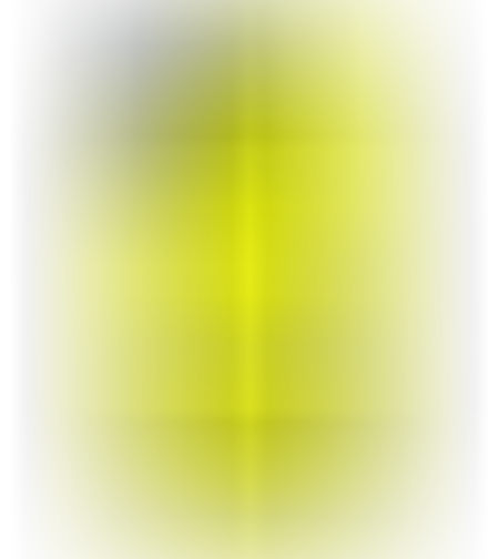 כיסוי פלאפון אֲנִי תָּמִיד צוֹדֶקֶת
