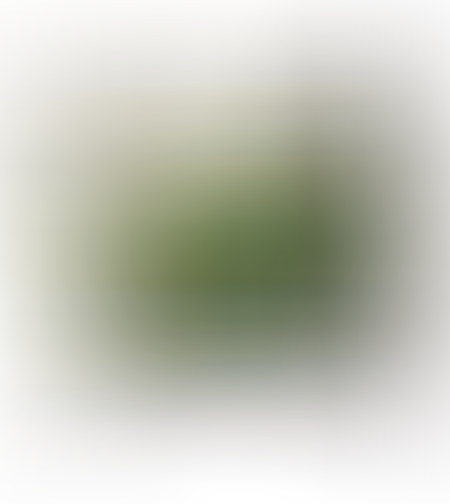 GREEN | רשת נגד יונים וציפרוים | 5X5 מטר
