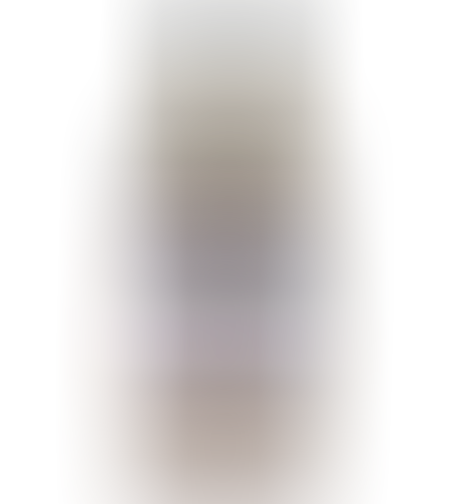 רוטב שזיפים 550 גרם נפטון