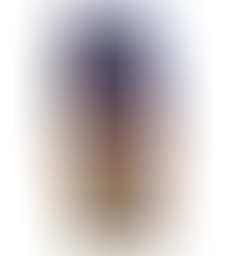 סילאן תמרים טבעי 350 גרם כרם