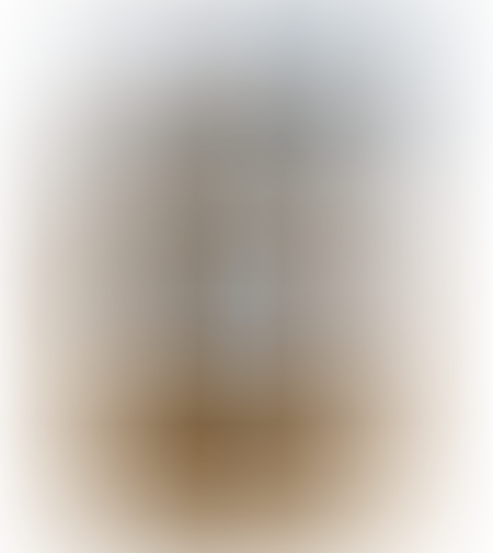 סוכר דקלים ארוז 454 גרם