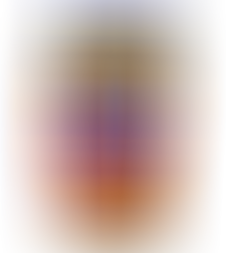 חרדל דיז`ון גרגירים 350 גרם