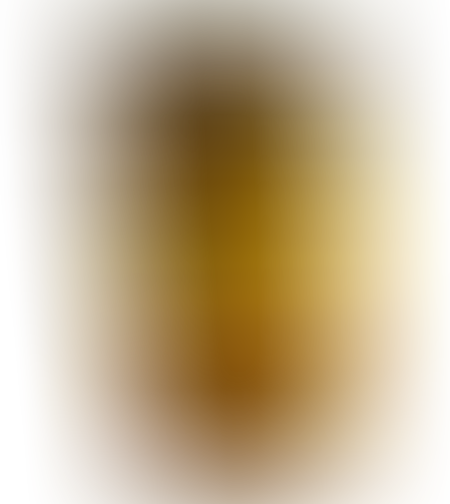 סלסה מנגו לבישול 300 גרם