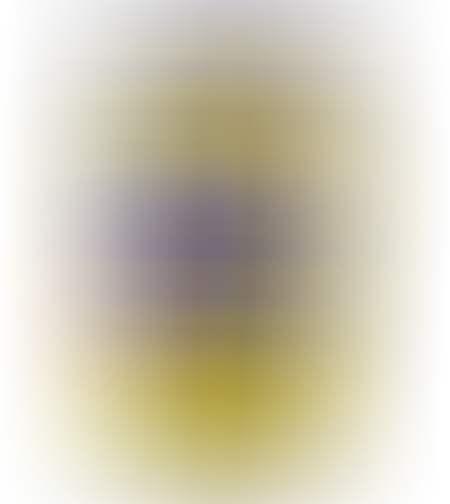חרדל דיז`ון אקסטרה 370 גרם