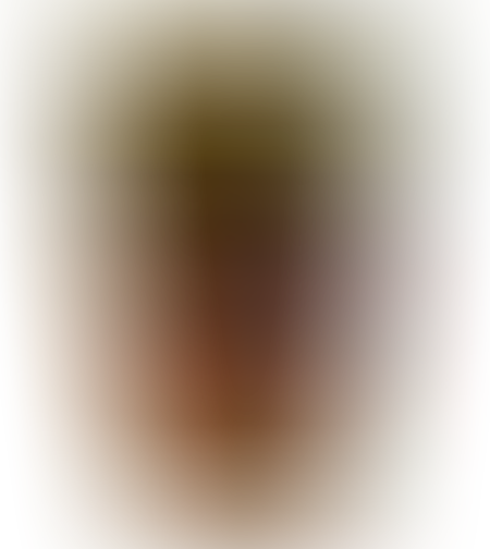 ממרח מסיבת אגוזים 300 גר`