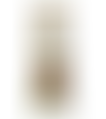 ספגטי מקמח מלא אורגני רומו 500 גרם