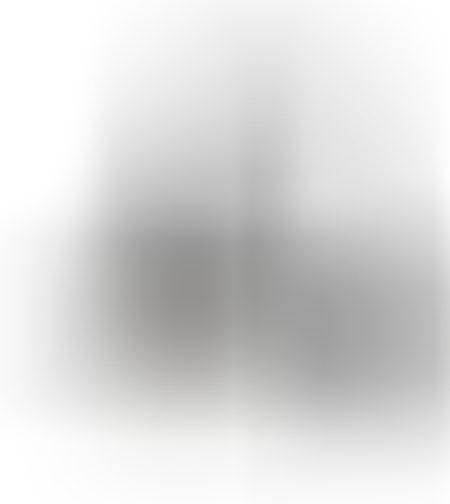 מנורת קיר גינה ALSF456