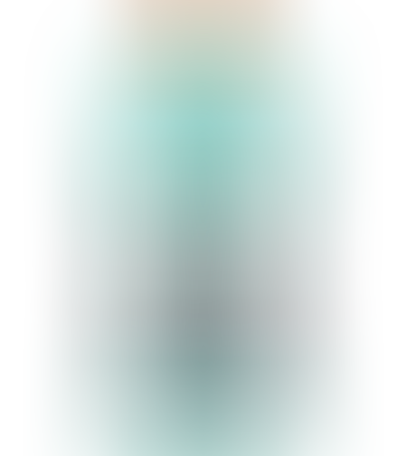 גייטורייד בטעם Arctic Blotz