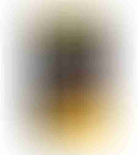 FIBRE 1