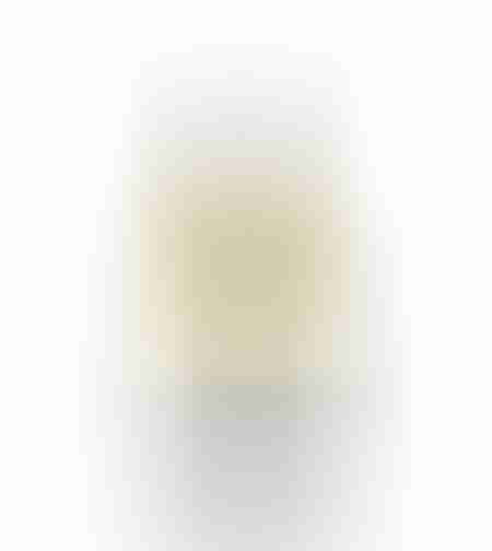 Chablis 2023 – Christophe Patrice