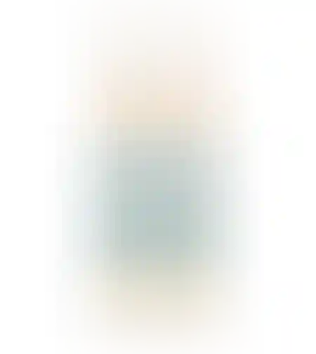 איילנד גויאבה 1L