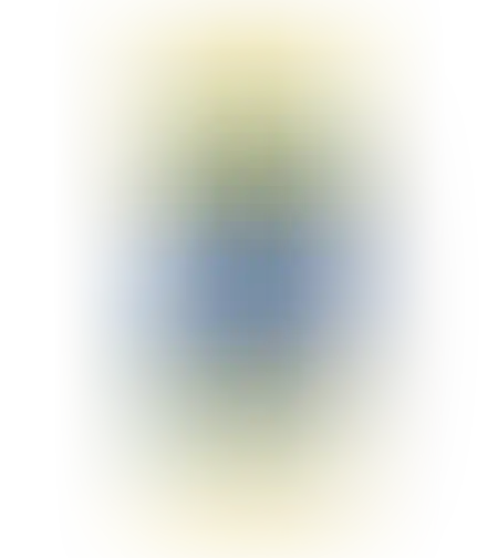 מטליות רב שימושיות 40 יח