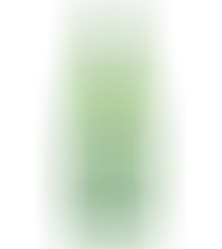 בירה היינקן 500 מ