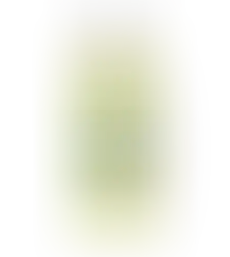 תפוזינה מוחיטו