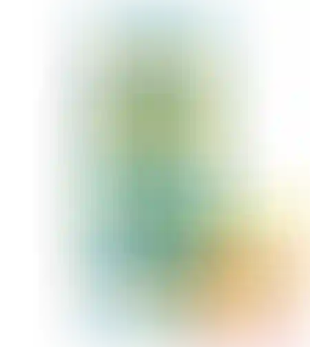 ספרינג נקטר בטעם תות בננה פחית