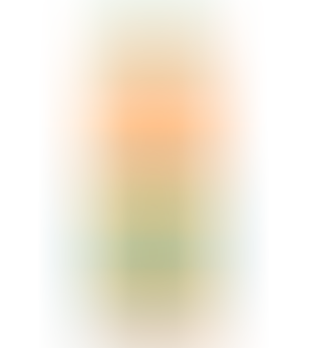 ספרינג פירות טרופים 1.5L