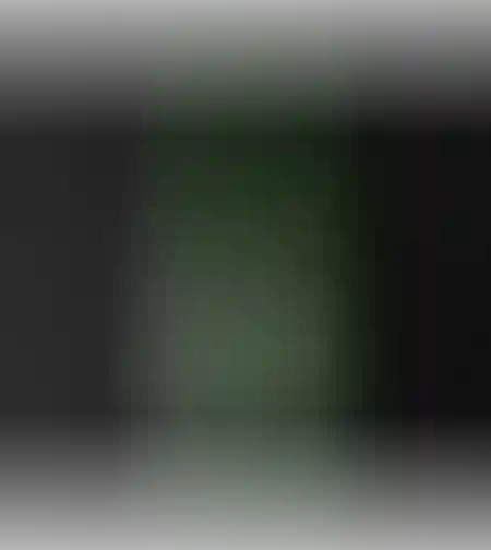 בירה היינקן 330מ