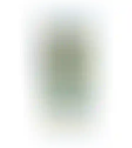 ספרינג פירות טרופיים פחית