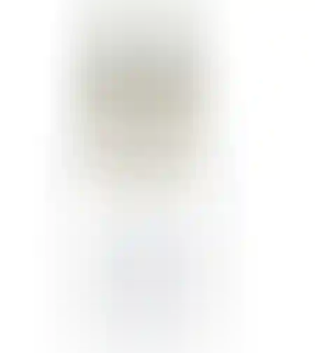 שוואפס סודה בטעם נענע ליים 330ml
