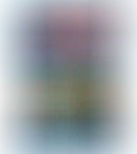 מיקס סוכריות גומי הארי פוטר