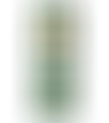 Hollandia בירה חזקה
