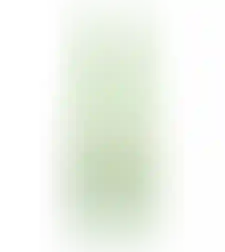 בריזר בטעם ליים