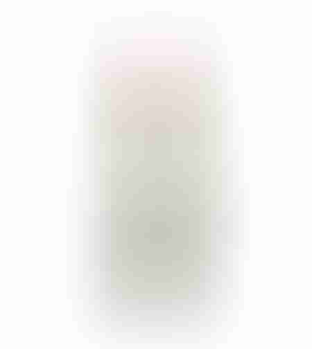 Le Grand Secret Sauvignon Blanc (2019)