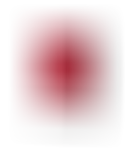 דיסק פנימי WD Red Plus NAS 4TB HDD 5400RPM 256MB Cache SATA III