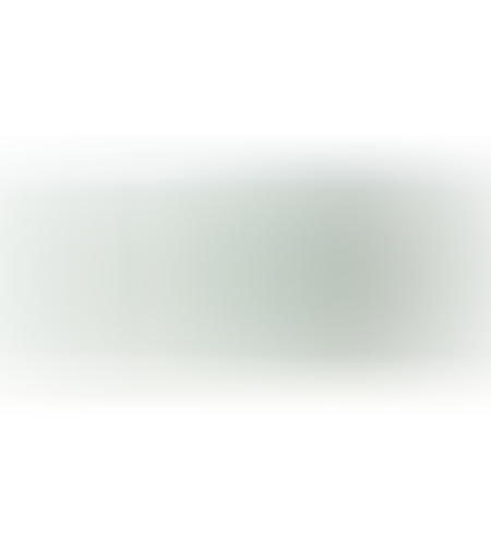 זכרון לנייח Netac 8GB DDR3 1600MHZ CL11