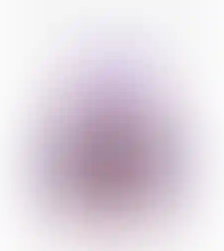 תיק נועם LOL