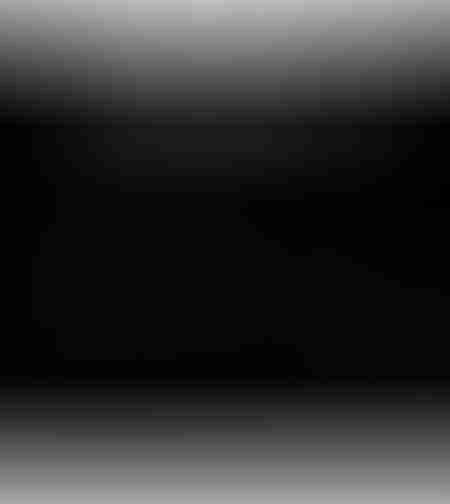 Ready Or Not-למחשב(STEAM)