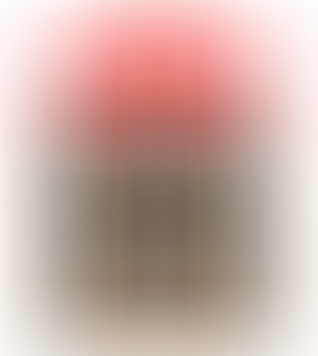 גריפים לאופניים RL G106