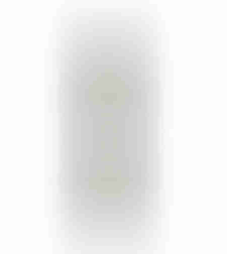 Silver Plated Megillah Scroll Case For 28/30 Cm