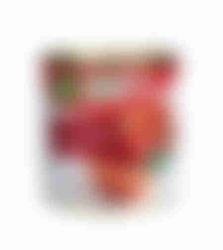 עגבניות מרוסקות - פריניר 400 ג׳