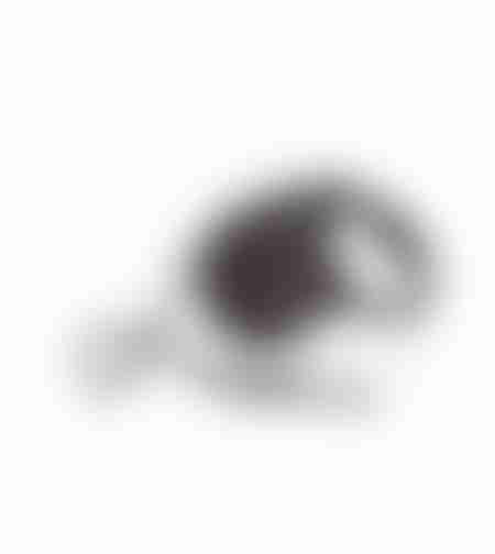 פלקסי ניו קלאסיק שחור - רצועה נמתחת לכלב - מידה S