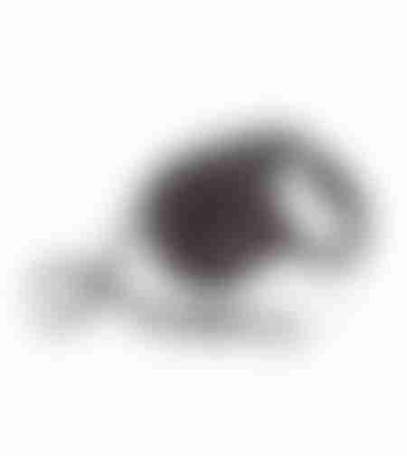 פלקסי ניו קלאסיק שחור - רצועה נמתחת לכלב - מידה M
