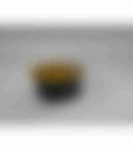 תבנית ברולה שחור זהב כולל מכסה (קוטר 8)  - 10 יח