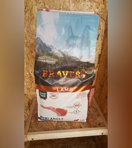 ברייוורי כבש Bravery lamb