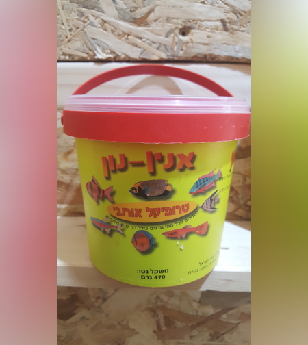 אוכל אנין לדגים