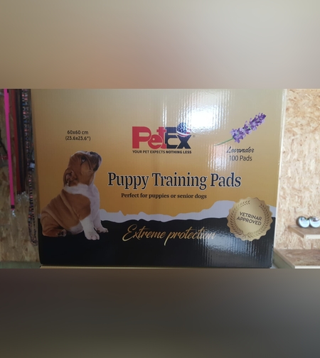 פדים 60*60 Puppy training pads