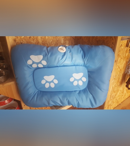 מיטה צבעונית לכלב קטן